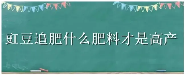 豇豆追肥什么肥料才是高产 | 三农问答