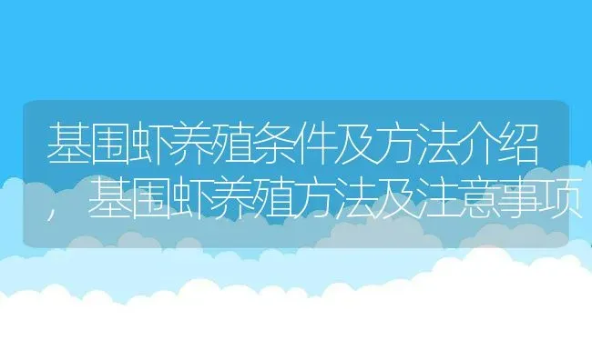 基围虾养殖条件及方法介绍,基围虾养殖方法及注意事项 | 养殖常见问题