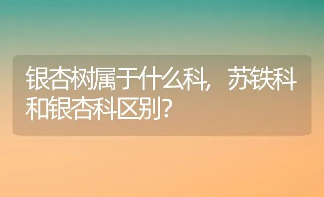 银杏树属于什么科,苏铁科和银杏科区别？ | 养殖常见问题