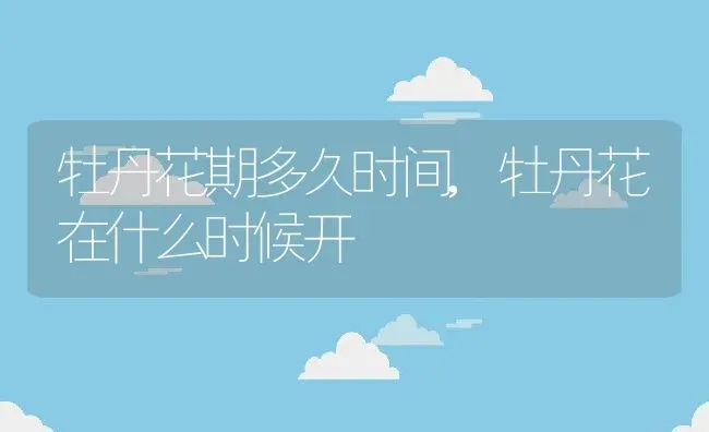 多肉红粉佳人怎么爆头,多肉红粉佳人怎么爆头 | 养殖常见问题