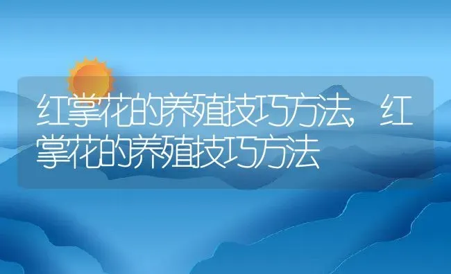 红掌花的养殖技巧方法,红掌花的养殖技巧方法 | 养殖常见问题