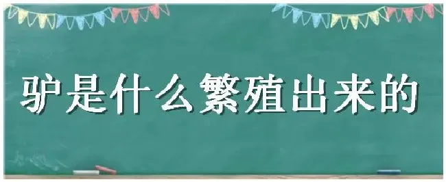 驴是什么繁殖出来的 | 农业常识