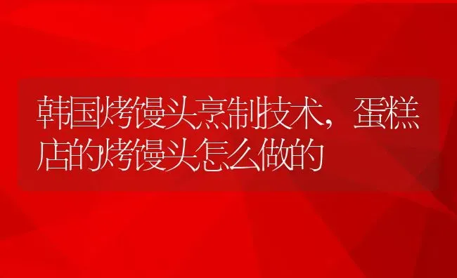 韩国烤馒头烹制技术,蛋糕店的烤馒头怎么做的 | 养殖常见问题