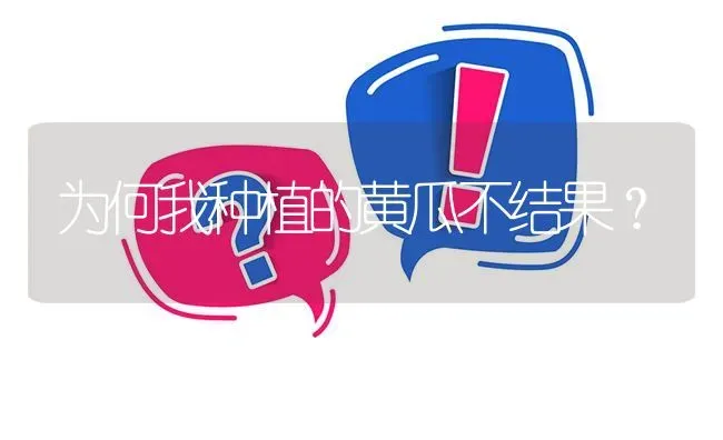 为何我种植的黄瓜不结果? | 养殖问题解答