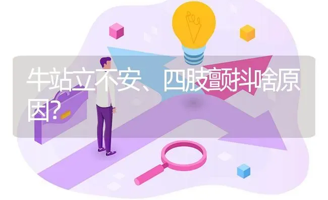 牛站立不安、四肢颤抖啥原因? | 养殖问题解答