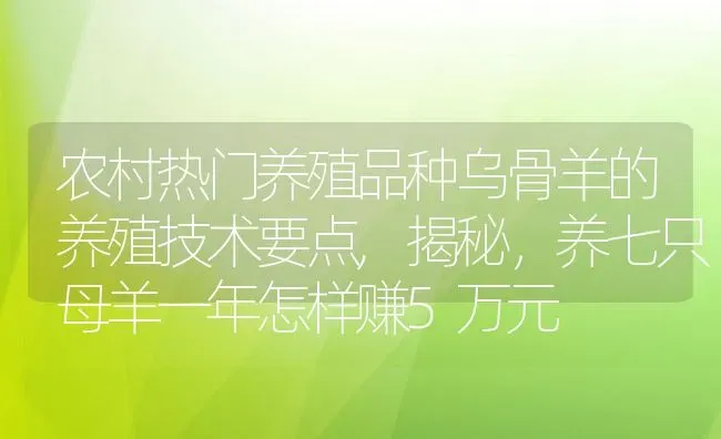 农村热门养殖品种乌骨羊的养殖技术要点,揭秘，养七只母羊一年怎样赚5万元 | 养殖常见问题