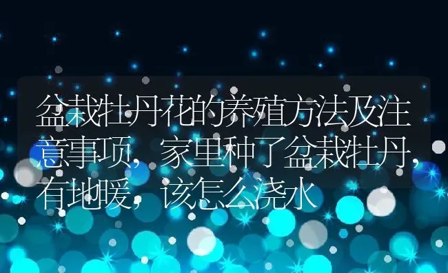 盆栽牡丹花的养殖方法及注意事项,家里种了盆栽牡丹，有地暖，该怎么浇水 | 养殖常见问题