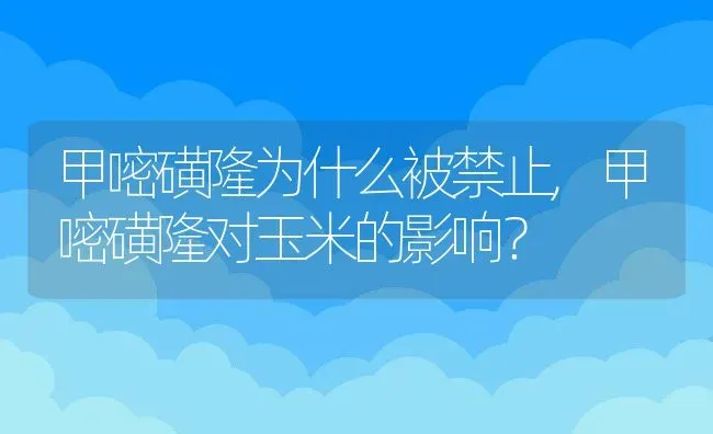 紫花地丁的养护方法,紫花地丁茶的做法？ | 养殖常见问题