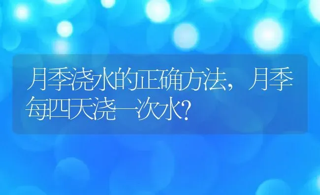 月季浇水的正确方法,月季每四天浇一次水？ | 养殖常见问题