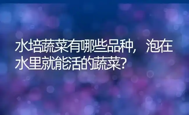 水培蔬菜有哪些品种,泡在水里就能活的蔬菜? | 养殖常见问题