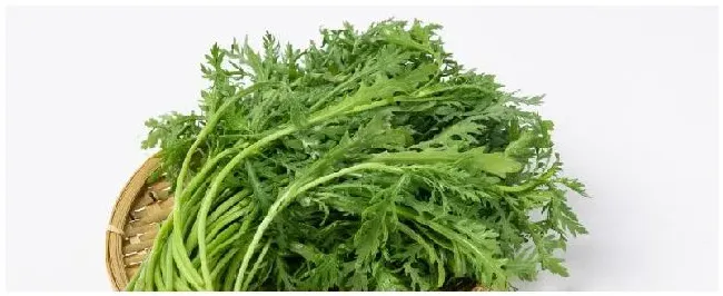 小叶茼蒿种植时间和方法 | 生活常识