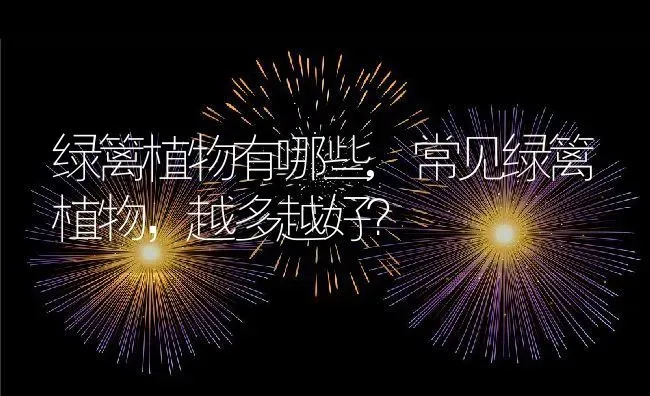 绿篱植物有哪些,常见绿篱植物，越多越好？ | 养殖常见问题