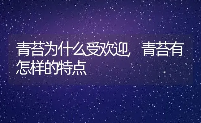 青苔为什么受欢迎,青苔有怎样的特点 | 养殖常见问题