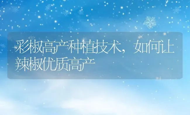 彩椒高产种植技术,如何让辣椒优质高产 | 养殖常见问题
