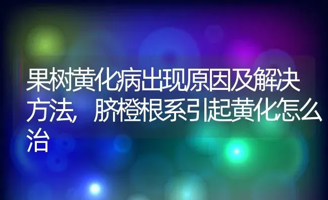 果树黄化病出现原因及解决方法,脐橙根系引起黄化怎么治 | 养殖常见问题