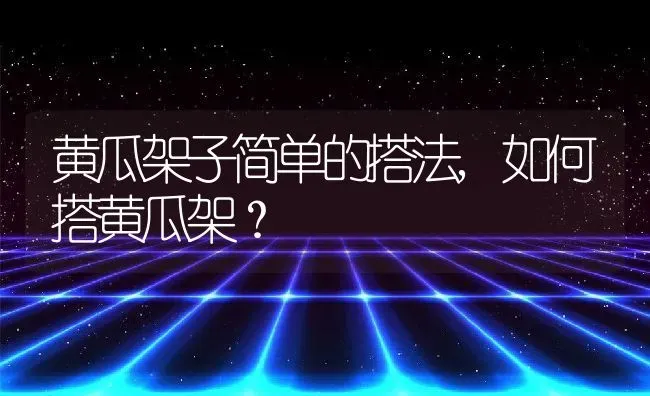 黄瓜架子简单的搭法,如何搭黄瓜架？ | 养殖常见问题