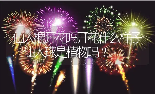 仙人棍开花吗开花什么样子,仙人球是植物吗？ | 养殖常见问题