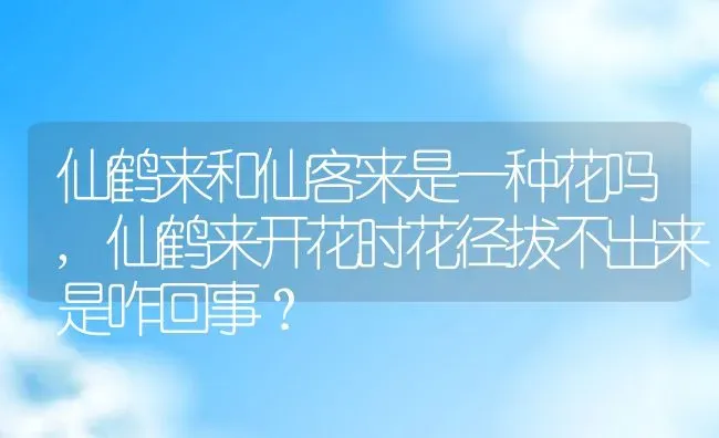 仙鹤来和仙客来是一种花吗,仙鹤来开花时花径拔不出来是咋回事？ | 养殖常见问题