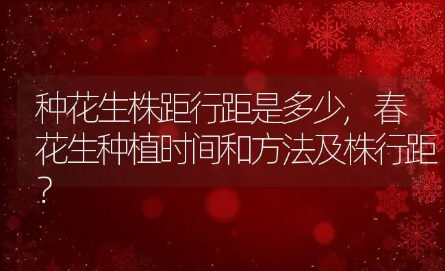 种花生株距行距是多少,春花生种植时间和方法及株行距？ | 养殖常见问题