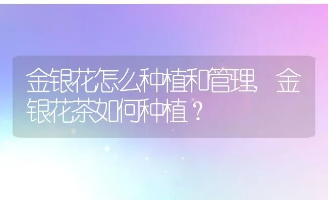 金银花怎么种植和管理,金银花茶如何种植？ | 养殖常见问题