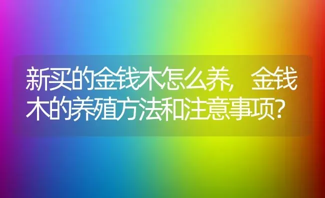 新买的金钱木怎么养,金钱木的养殖方法和注意事项？ | 养殖常见问题