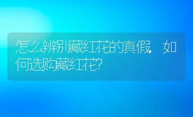 怎么辨别藏红花的真假,如何选购藏红花？ | 养殖常见问题