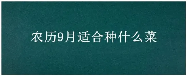 农历9月适合种什么菜 | 农业问题