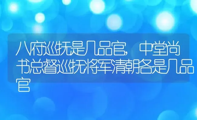 八府巡抚是几品官,中堂尚书总督巡抚将军清朝各是几品官 | 养殖常见问题