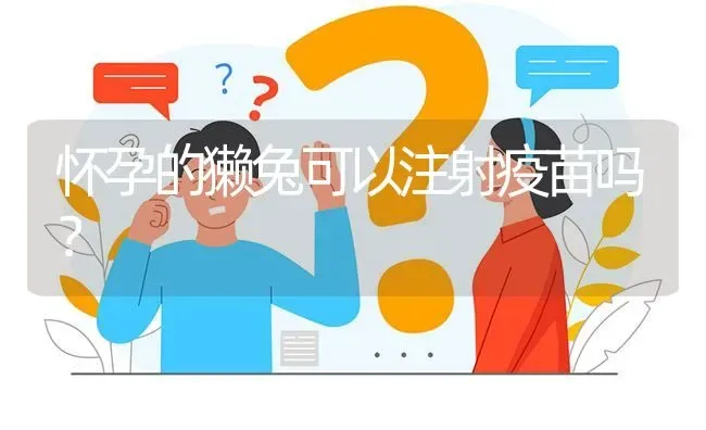 怀孕的獭兔可以注射疫苗吗? | 养殖问题解答