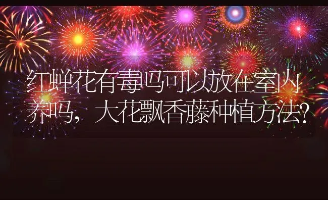 红蝉花有毒吗可以放在室内养吗,大花飘香藤种植方法？ | 养殖常见问题