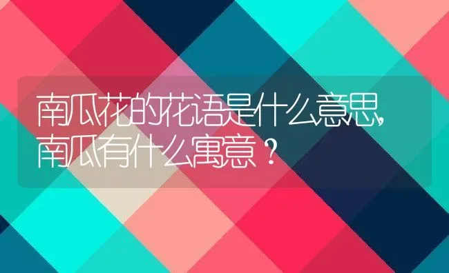 南瓜花的花语是什么意思,南瓜有什么寓意？ | 养殖常见问题