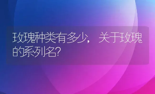 玫瑰种类有多少,关于玫瑰的系列名？ | 养殖常见问题