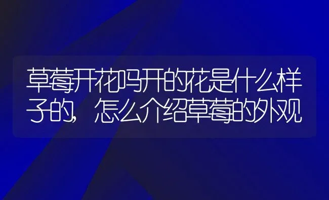 草莓开花吗开的花是什么样子的,怎么介绍草莓的外观 | 养殖常见问题
