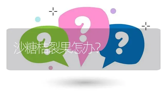沙糖桔裂果怎办? | 养殖问题解答