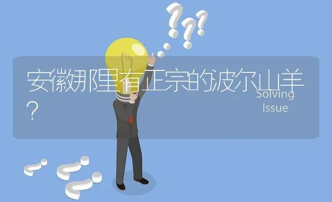 安徽那里有正宗的波尔山羊? | 养殖问题解答