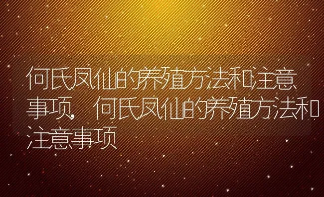 何氏凤仙的养殖方法和注意事项,何氏凤仙的养殖方法和注意事项 | 养殖常见问题