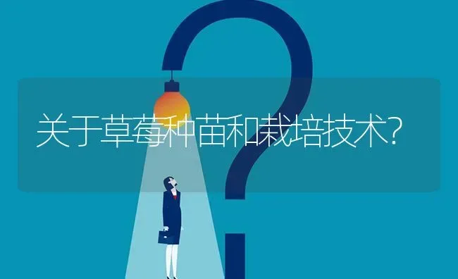 关于草莓种苗和栽培技术? | 养殖问题解答