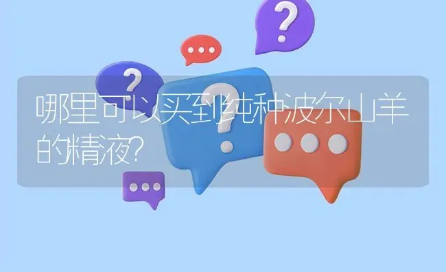 哪里可以买到纯种波尔山羊的精液? | 养殖问题解答