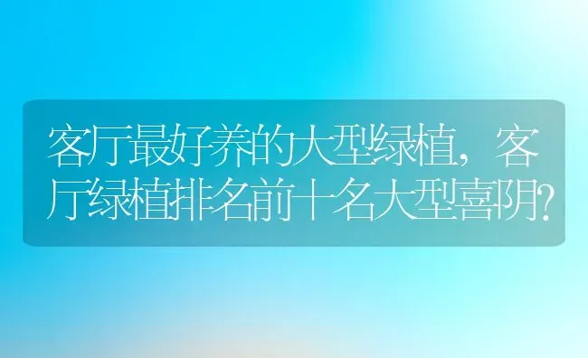 客厅最好养的大型绿植,客厅绿植排名前十名大型喜阴？ | 养殖常见问题