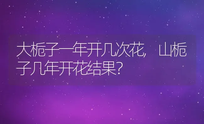 大栀子一年开几次花,山栀子几年开花结果？ | 养殖常见问题