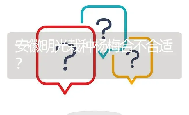 安徽明光栽种杨梅合不合适? | 养殖问题解答