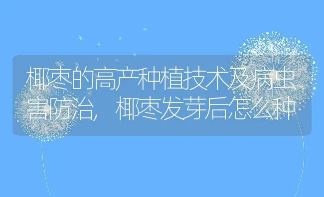 石榴花什么颜色,石榴花什么颜色 | 养殖常见问题