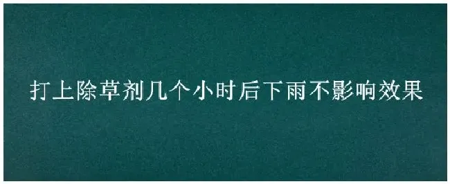 打上除草剂几个小时后下雨不影响效果 | 三农问答