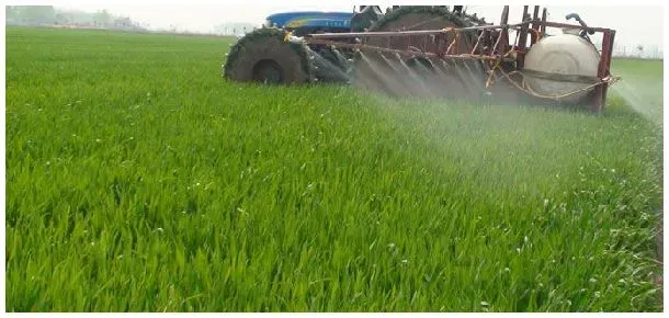 苗后除草剂打完多长时间下雨不影响 | 科普知识