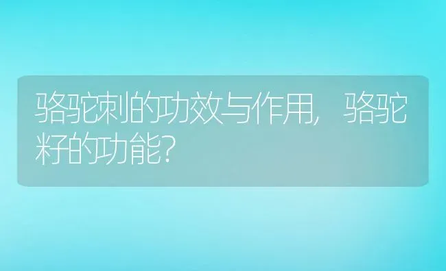 骆驼刺的功效与作用,骆驼籽的功能？ | 养殖常见问题