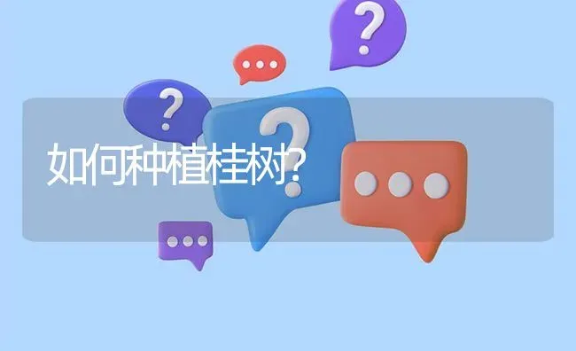 如何种植桂树? | 养殖问题解答