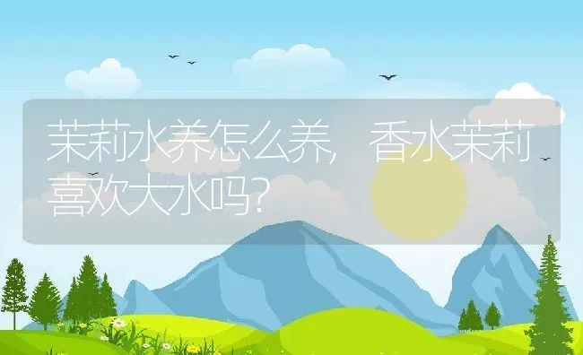 茉莉水养怎么养,香水茉莉喜欢大水吗？ | 养殖常见问题