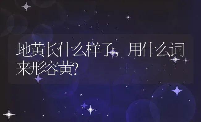 地黄长什么样子,用什么词来形容黄？ | 养殖常见问题