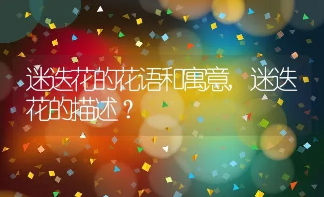迷迭花的花语和寓意,迷迭花的描述？ | 养殖常见问题