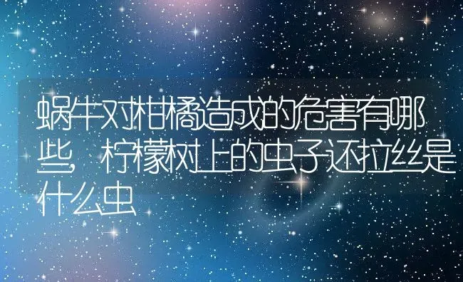 蜗牛对柑橘造成的危害有哪些,柠檬树上的虫子还拉丝是什么虫 | 养殖常见问题